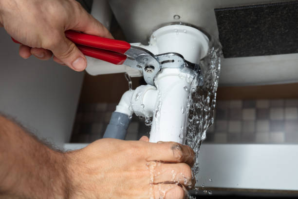 Best Sewage cleanup and water damage restoration  in Ladera Heights, CA