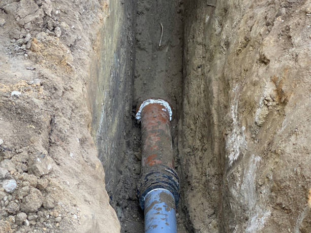 Best Flood restoration services  in Ladera Heights, CA