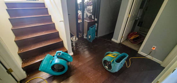 Best Ceiling water damage repair  in Ladera Heights, CA