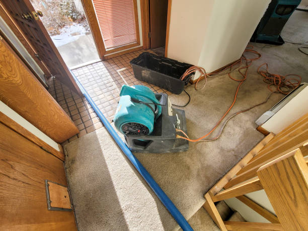 Best Professional water damage repair  in Ladera Heights, CA