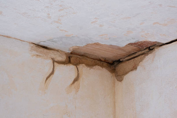 Best Water damage restoration insurance claims  in Ladera Heights, CA