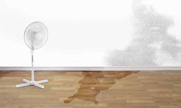  Ladera Heights, CA Water damage restoration Pros