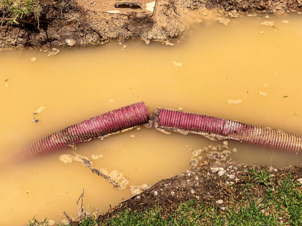 Best Residential water damage restoration  in Ladera Heights, CA
