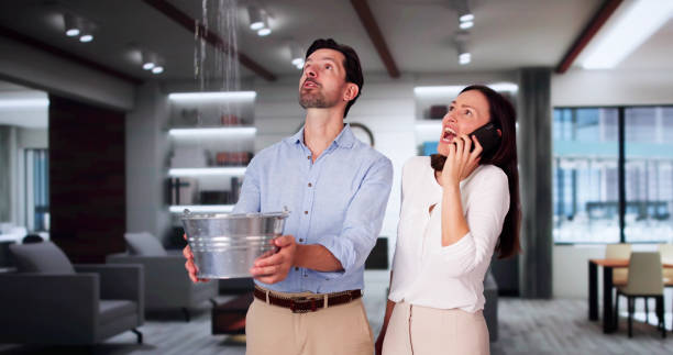 Best Water damage cleanup near me  in Ladera Heights, CA