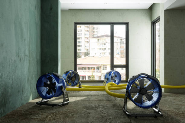 Best Residential water damage restoration  in Ladera Heights, CA