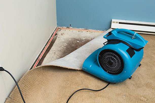 Best Water damage contractors near me  in Ladera Heights, CA